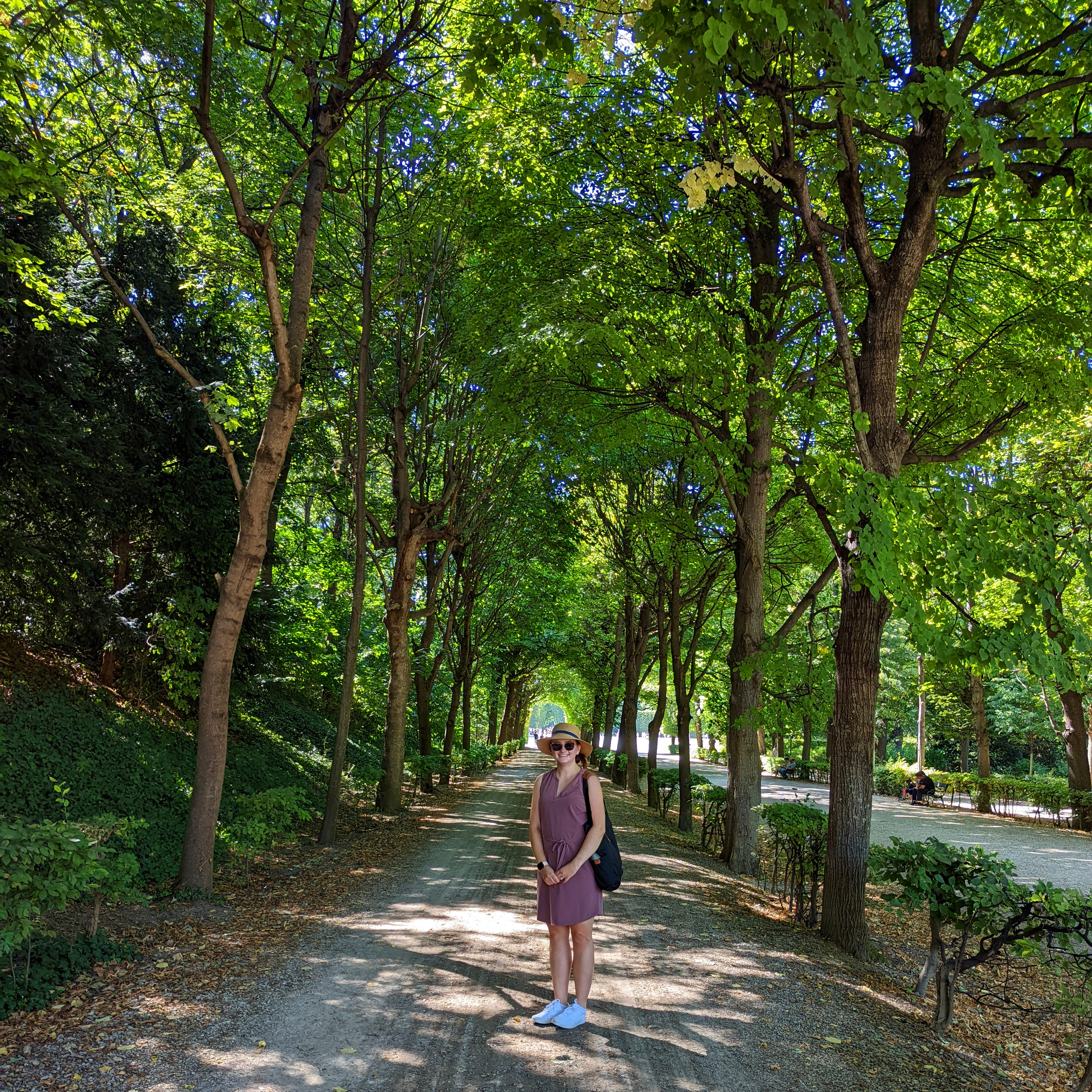 Cruising Vienna